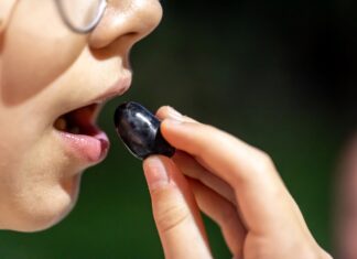 Diagnostic par le goût quand les médecines traditionnelles écoutaient les saveurs du corps Le diagnostic par le goût